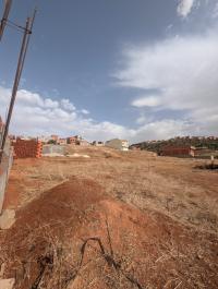 terrain-vente-tlemcen-souahlia-algerie