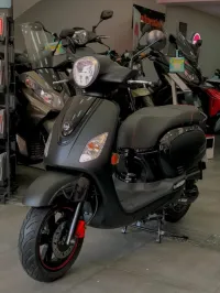 sym Fiddle 3 2024