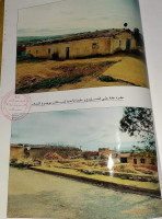 terrain-vente-mascara-tizi-algerie