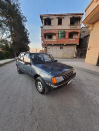 voitures-peugeot-205-1987-junior-blida-algerie