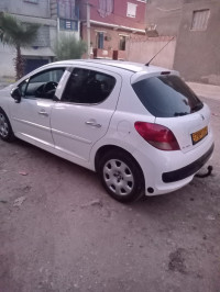 voitures-peugeot-207-plus-2013-el-affroun-blida-algerie