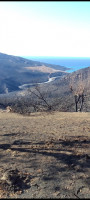 terrain-vente-bejaia-toudja-algerie