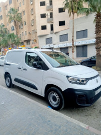 utilitaire-fiat-doblo-italie-2023-professional-tlemcen-algerie