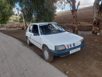 voitures-peugeot-205-1994-ferdjioua-mila-algerie