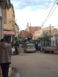 Location Local Tipaza Kolea