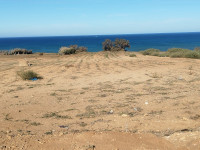 terrain-vente-mostaganem-abdelmalek-ramdane-algerie