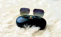 Lunettes de soleil carrera 