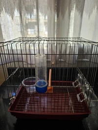 cage pour oiseaux 