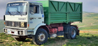 camion-رونو-g290-1984-ouled-medea-algerie