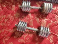 Les halteres 16kg