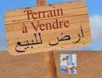 terrain-vente-oran-algerie