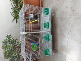 Cage séparation