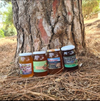 Miel authentique naturel kezzar kamel