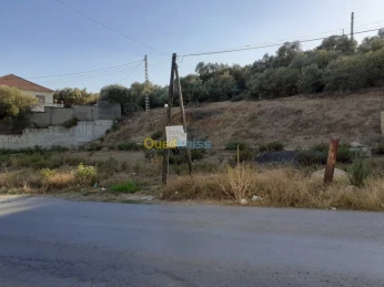 Vente Terrain Bejaia El flaye