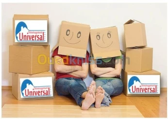 demenagement-*/berline/dynamique