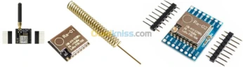 Module de Transmission LoRa ARDUINO