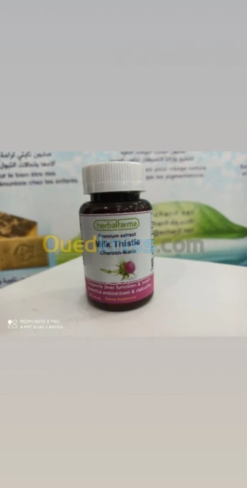 Chardon Marie شوك الجمل مطهر الكبد