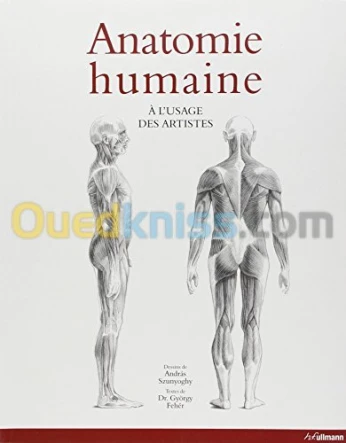 Anatomie humaine à l'usage des artistes