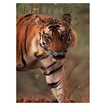 Felinos Salvajes