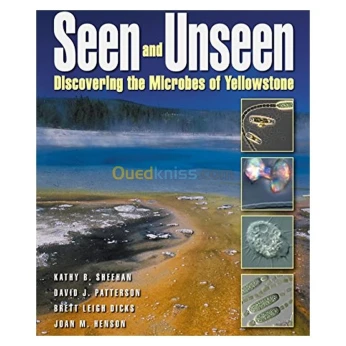 Seen and Unseen: Discovering The Microbes of Yellowstone