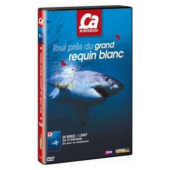 Ca m'intéresse - Vol. 14 : Tout près du grand requin blanc DVD