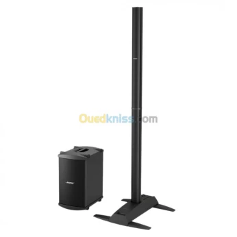 BOSE L1 Modele 2 Basse B2 T1 Tonematch