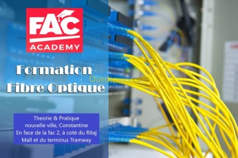 Formation en fibre optique (étude, raccordement test & mesure).