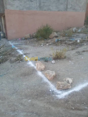 Vente Terrain Tlemcen Souani