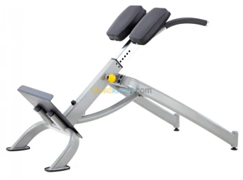 STEELFLEX NEO BACK EXTENSION NBE
