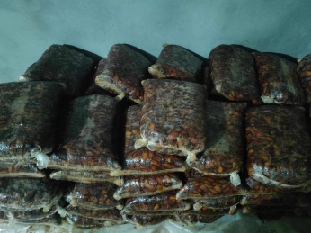 غرس بالبدون ولا البطانة ، كمية متوفرة