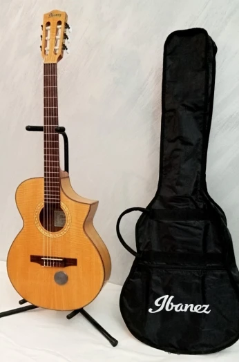 Guitare électro classique IBANEZ