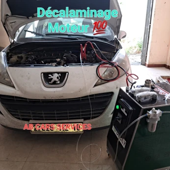 Décalaminage egr+catalyseur+turbo+soupape