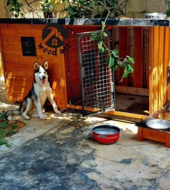 cage et niche pour chien