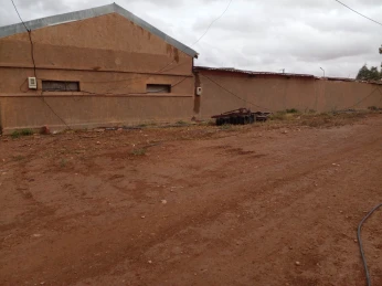 Vente Terrain Agricole Saida Sidi ahmed