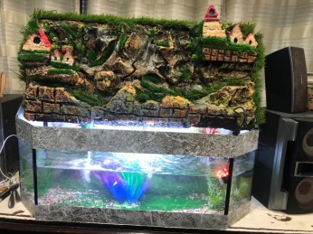 Aquarium complet