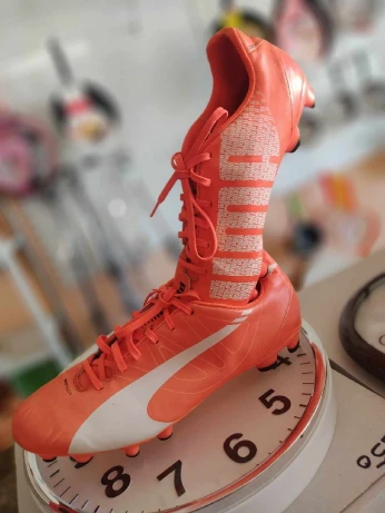 Soulier puma