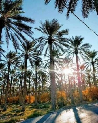 Biskra Automne 2023