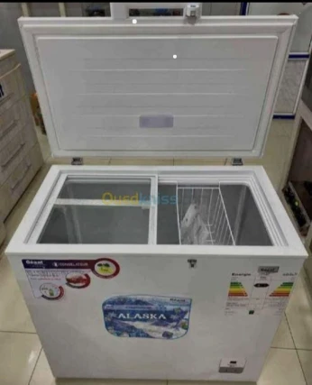 Promotion congélateur Géant 260 litres