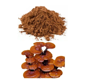 Reishi Bio (En Poudre) (champignon)--- مسحوق فطر الريشي العضوي