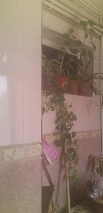 Vente Appartement F4 Setif Ouled sabor