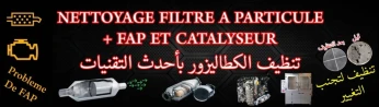 Gid costnetine Alger