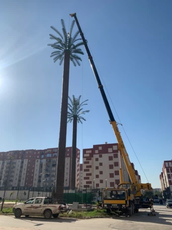 Xcmg Location 50T 2008