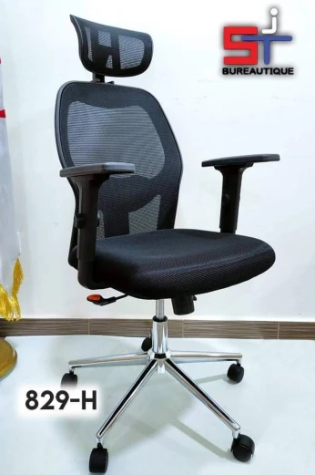 Chaise Ergonomique