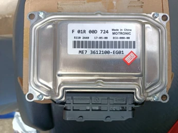 Mémoire peri great Wall volex C30 florid