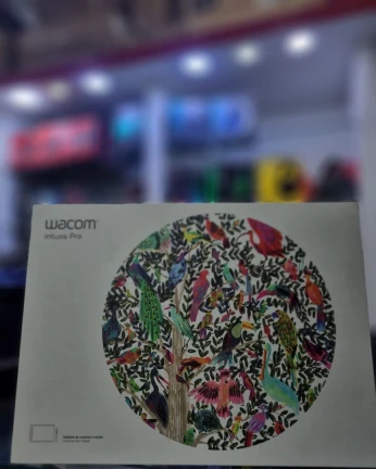Wacom Intuos Pro PTH-660-S