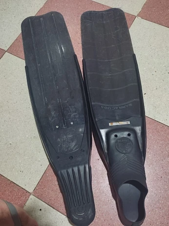 Palme de chasse