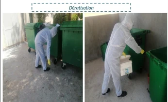 nettoyage, désinsectisation, dératisation, lutte anti nuisible(fourmis, cafards, souris, rats , punaise de lit, puces mouches,scorpions serpents, chiens errants.....)