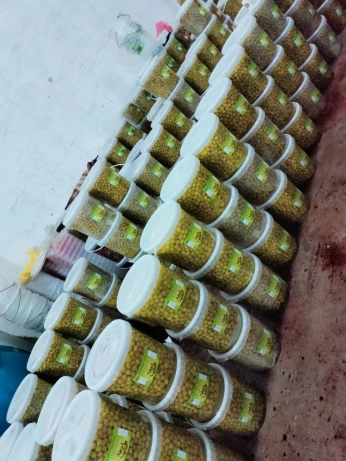 أفضل أنواع الزيتون في الجزائر