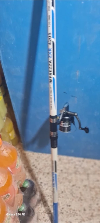 canne à pêche avec moulinet inoxydable