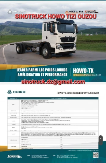 HOWO Camion 10 Tonne 2024